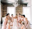Wedding Dresses In Charlotte Nc Beautiful Wedding Photography by Treebird Graphy Wilmington