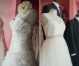 Wedding Dresses In Houston Texas Elegant Best Bridal Boutiques In Houston