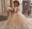 Wedding Dresses In Macys New Modern 3d Floral Lace Blush Pink Flower Girl Dresses for
