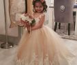 Wedding Dresses In Macys New Modern 3d Floral Lace Blush Pink Flower Girl Dresses for