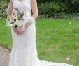 Wedding Dresses Lancaster Pa Luxury Daniel Thompson Size 4
