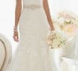Wedding Dresses Lincoln Ne Unique 46 Best Lacey Wedding Dress Images