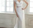 Wedding Dresses Provo Beautiful Illusion Lace Cap Sleeve V Neck Fit and Flare Chapel Train