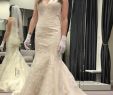 Wedding Dresses Seamstress Inspirational Eddy K New Mb503 Size 14