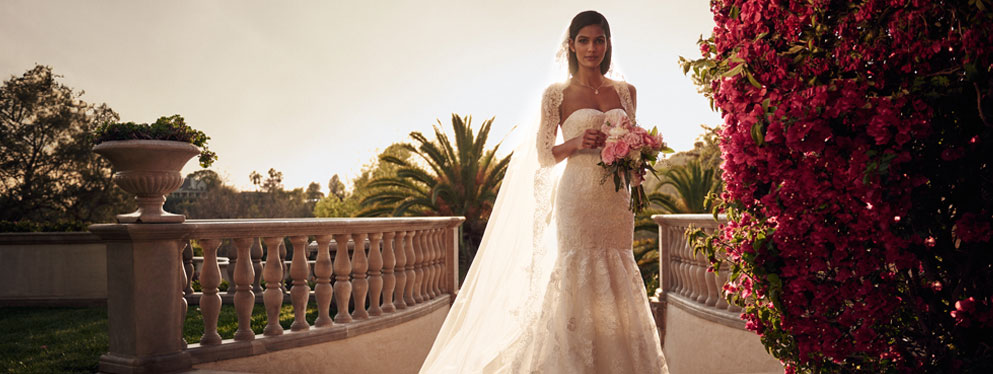 Wedding Dresses Springfield Mo Beautiful David S Bridal Reviews