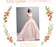 Wedding Dresses Under 500 David's Bridal Awesome Anthony S World Floors Dans Hall Occasions Wedding