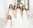 Wedding Dresses West Palm Beach Fresh A sophisticated Museum Wedding with Modern Details In Palm