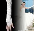 Wedding Dresses with Gloves Best Of to Buy 2016 Wedding Accessories Bridal Gloves