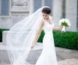 Wedding Dresses with Veils Elegant Love the Style Wed