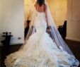 Wedding Dresses with Veils New Details About White Ivory 1t Long Bridal Veil Cathedral Lace