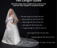 Wedding Dresses without Trains Elegant Wedding Veil Length Guide